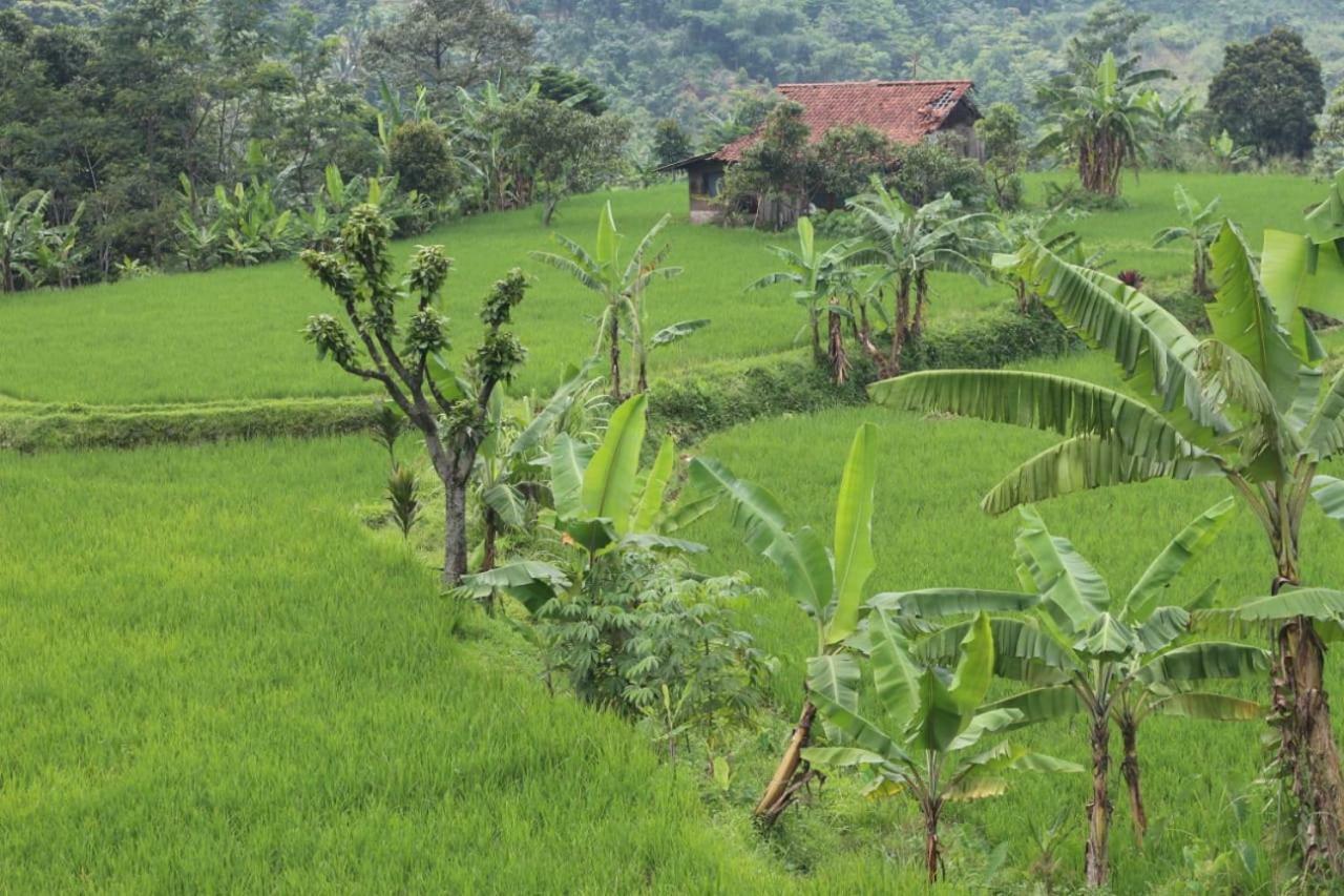 בוגור De Salak Homestay מראה חיצוני תמונה